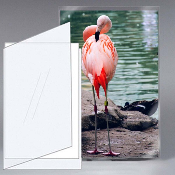 Polyester Mylar 19 x 13" Folder Sleeves for Photographs Polyester Mylar 19 x 13" Folder Sleeves for Photographs