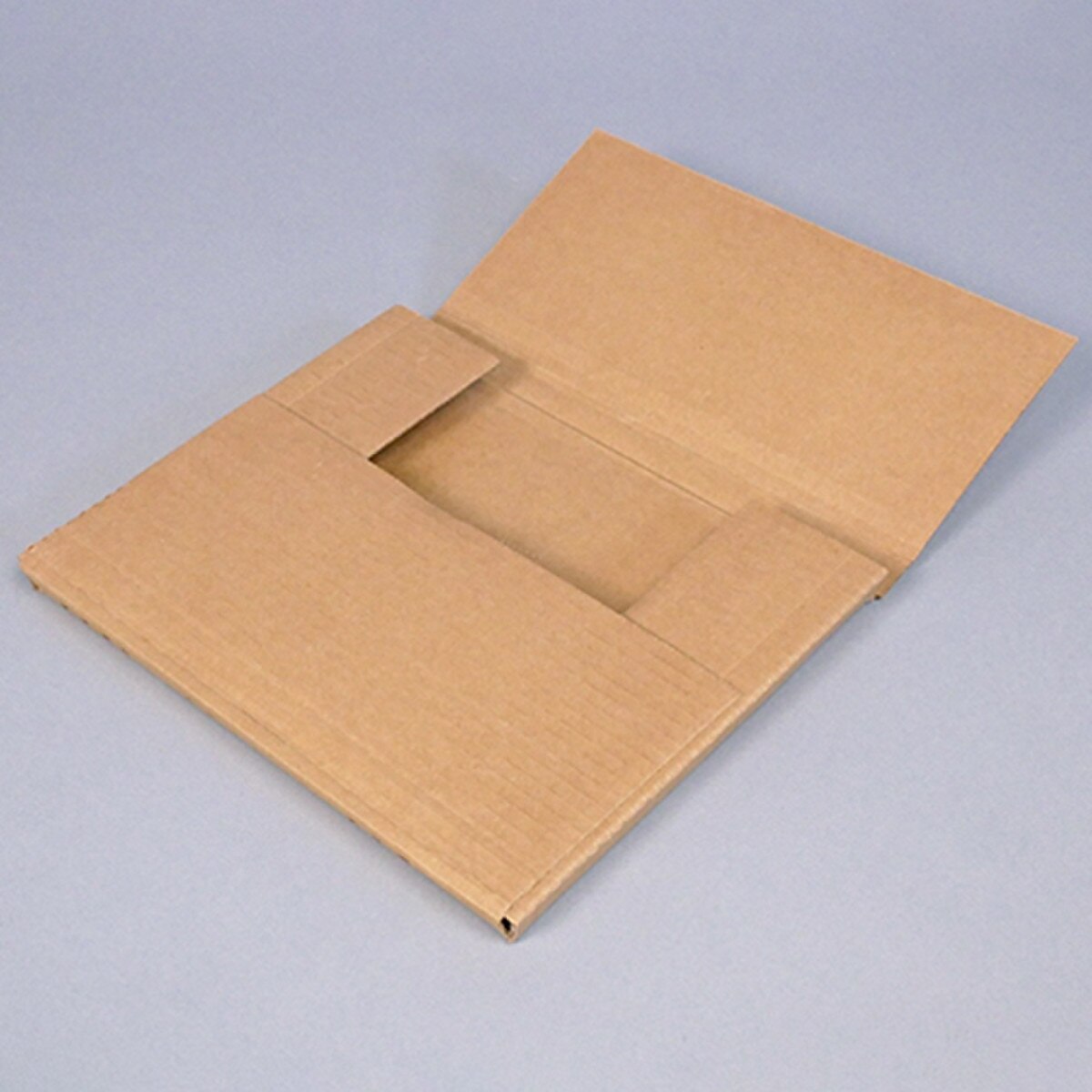 Variable Depth Mailer 8-1/4 x 10-1/4"