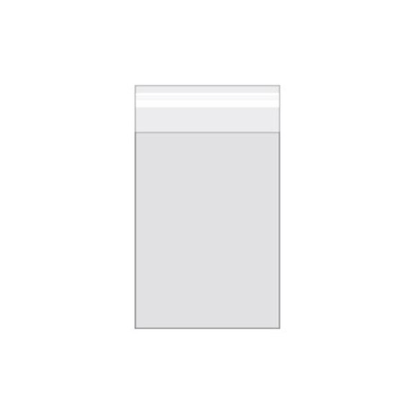 Clear Sleeve for an A1 Card & Envelope Reseal Tape on Flap